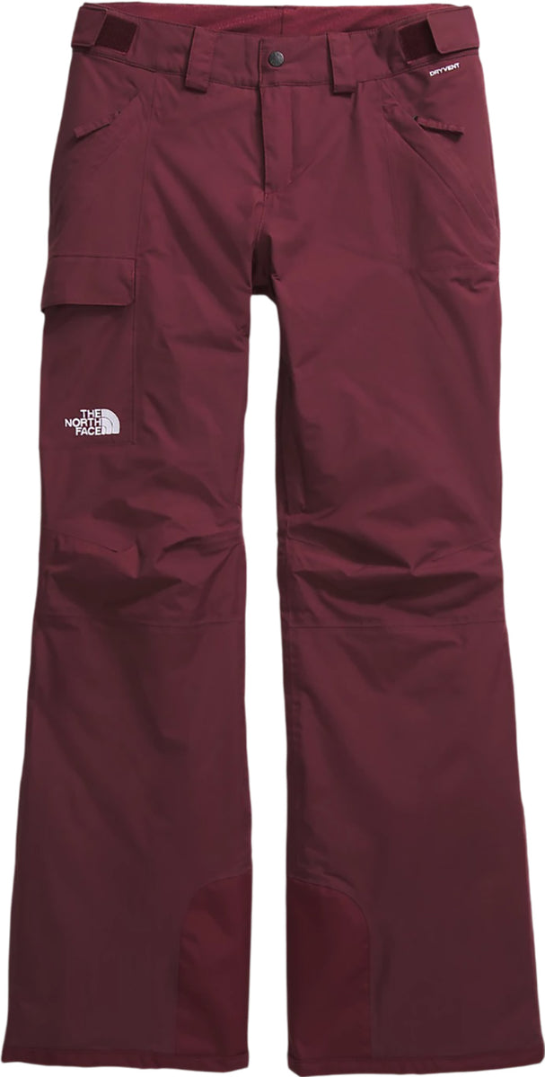 North face women's freedom insulated pants on sale