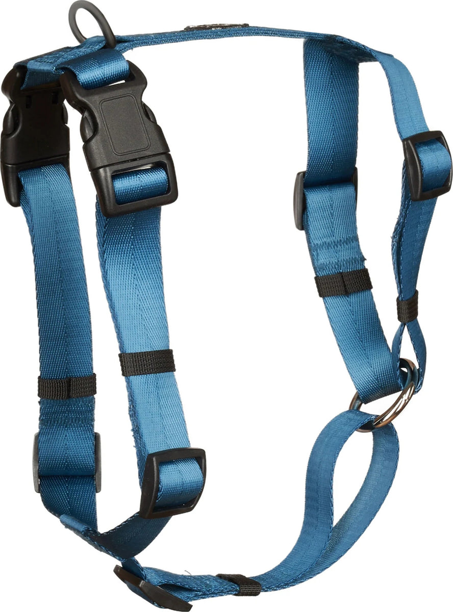 CANADIAN CANINE ANCHOR DOG HARNESS - S/M PLUM