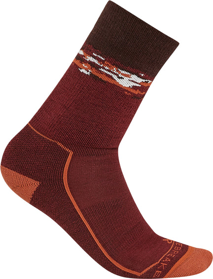 icebreaker Hike+ Medium Crew Sedimentary Socks - Men's