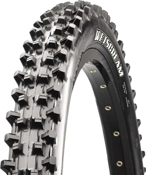 Maxxis Wetscream MTB Tire 29''x2.50