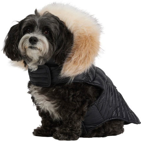 Pajar Zola Faux Fur Trim Jacket for Dogs