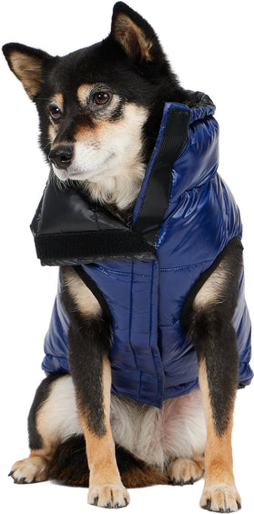 Pajar Theo Packable Channel Quilted Puffer Jacket with Collar for Dogs