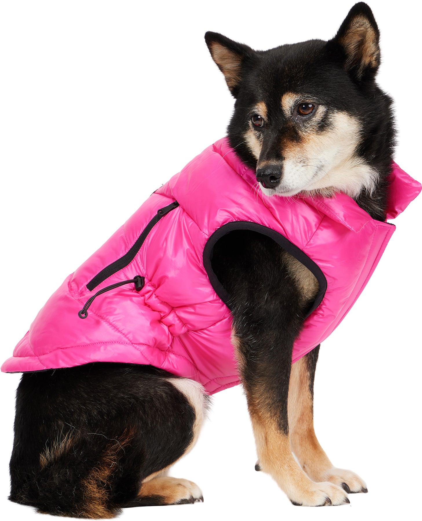 Dog coat with pockets best sale