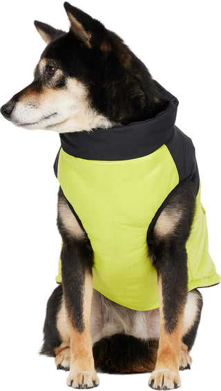 Pajar Derby Mixed Media Sporty Jacket with Zipper Back and Patch for Dogs