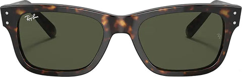 Ray-Ban Burbank Non-Polarized Sunglass - Unisex