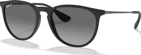 Ray-Ban Erika Color Mix Sunglasses