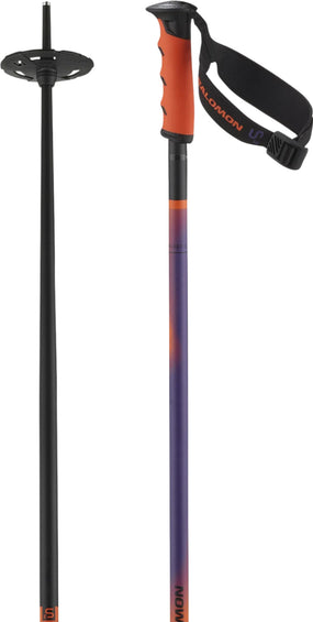 Salomon Hacker S3 Alpine Ski Poles