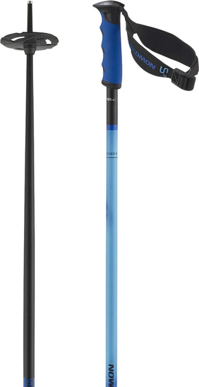 Salomon Hacker S3 Alpine Ski Poles