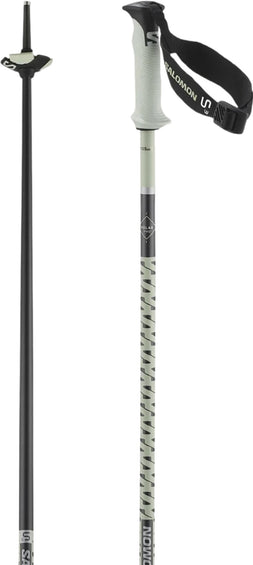 Salomon Polar Pro S3 Alpine Ski Poles