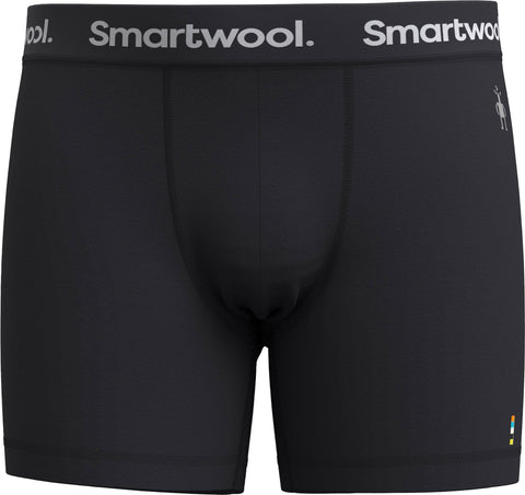 Smartwool Everyday Merino Boxed Boxer Brief - Men's