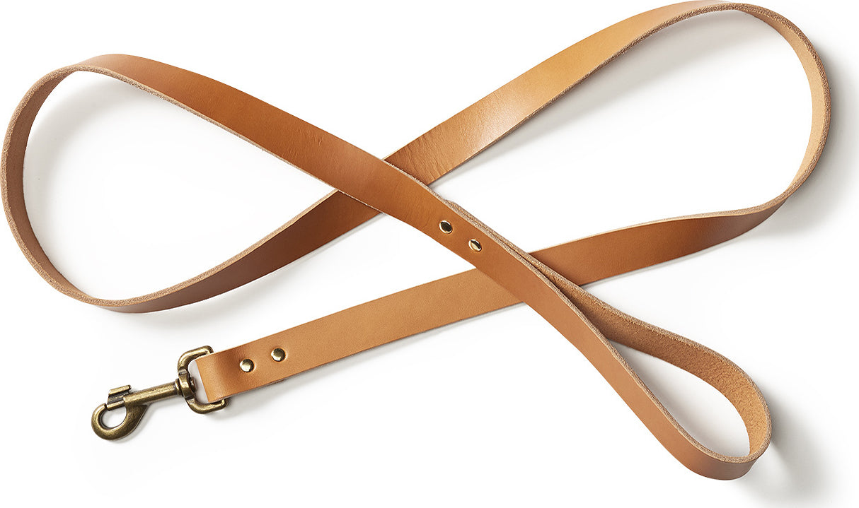 Bridle leather top dog leash