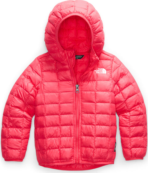 The North Face ThermoBall Eco Hoodie - Toddler | Altitude Sports