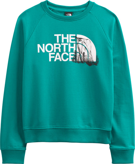 The North Face Logo Play Recycled Crew Neck Raglan Pullover - Women’s