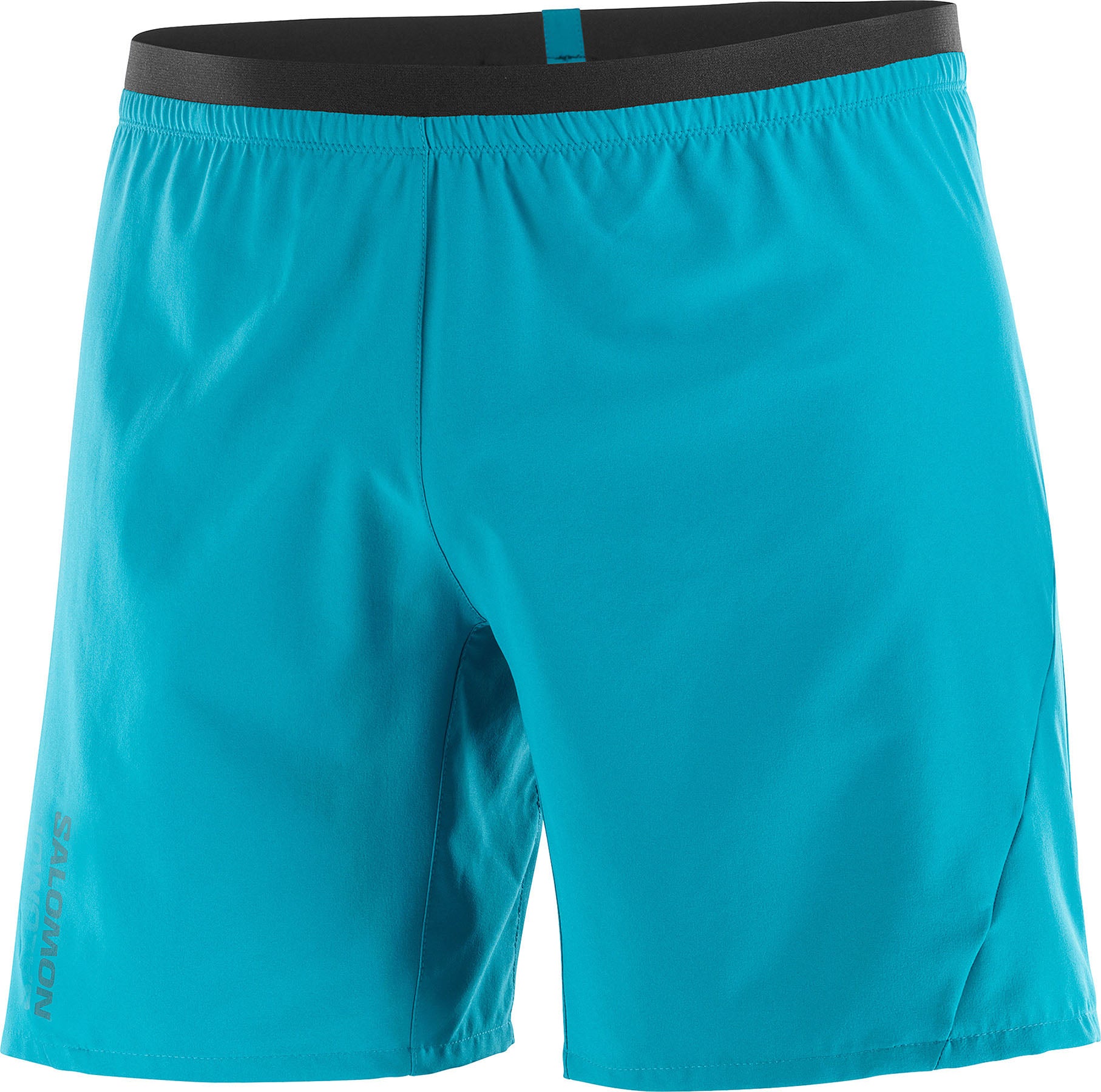 Smartwool Merino Sport Lined 5 Shorts - Men's