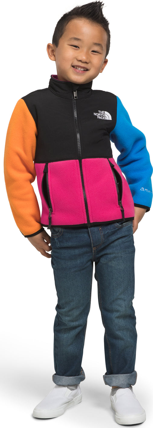 The North Face Plus Denali Fleece Sweatshirt - Women's